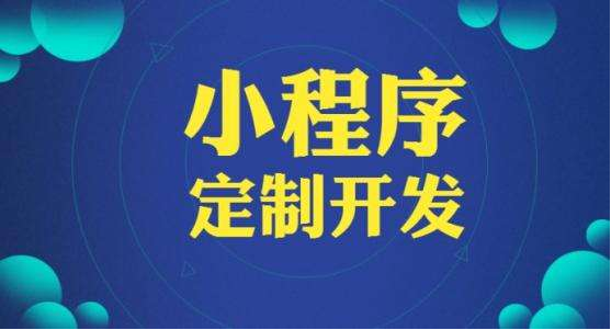 徐匯區(qū)網(wǎng)站程序開發(fā)費用是多少-上海網(wǎng)站建設(shè)